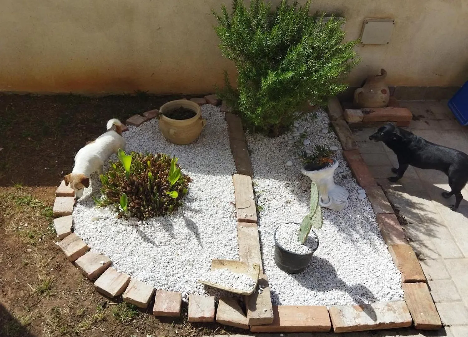 Casa vacanze Villa Residenza da Nino Mazara del Vallo Italia